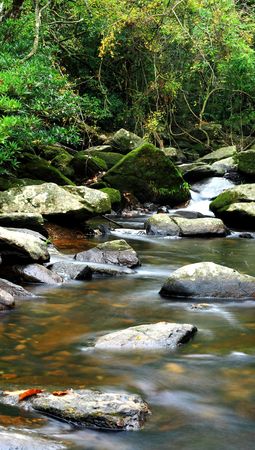 beautiful water spring in forest, long exposure
の写真素材