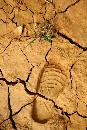 dried land with step print and grassの写真素材