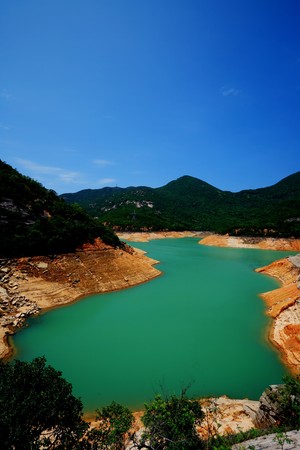lake in forest の写真素材