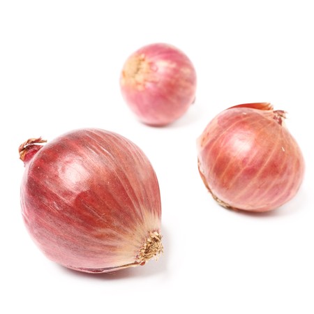 shallotの写真素材