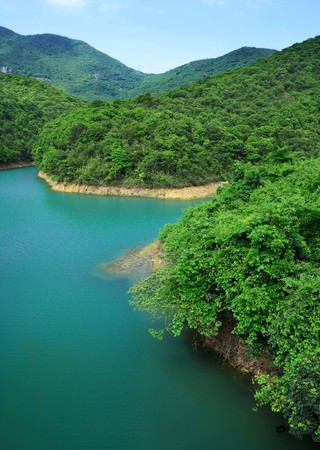 lake in forestの写真素材