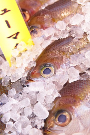 fish for sell in japan fish marketの写真素材