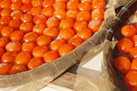Salted egg yolk, traditional chinese foodの写真素材