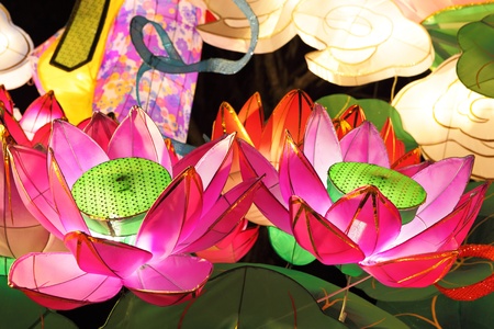 lotus lantern for mid autumn festivalの写真素材