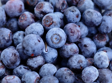 blueberryの写真素材
