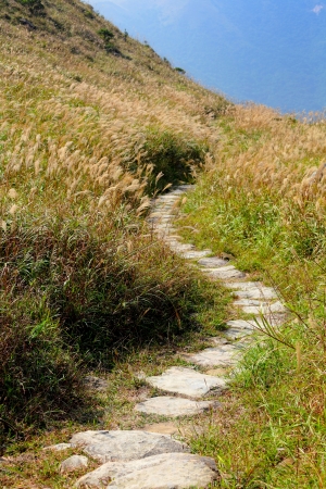 mountain pathの写真素材