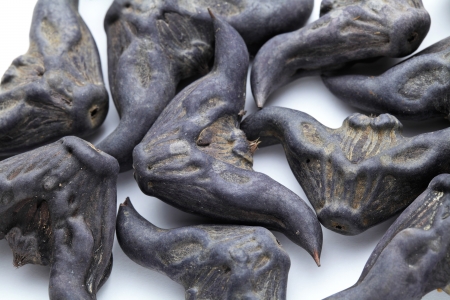 Water Caltrop