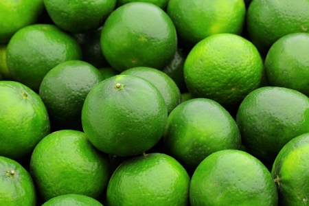 lime citrus fruitの写真素材