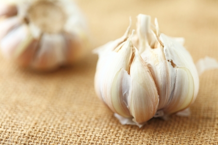 garlic の写真素材