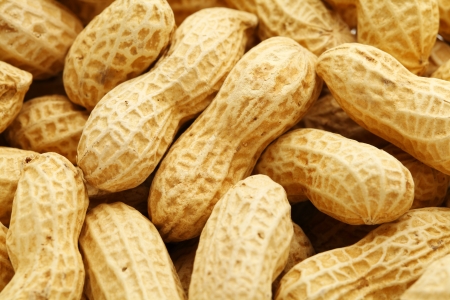 Dried peanutの写真素材