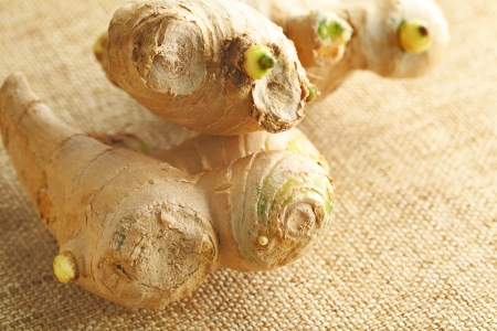 ginger close upの写真素材