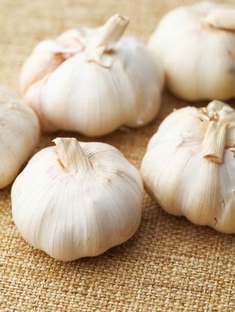 Garlicの写真素材