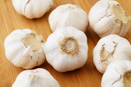 Garlic on tableの写真素材