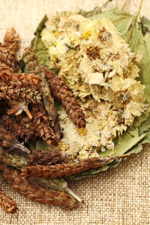Dried herbal medicineの写真素材