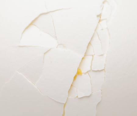 Cracked white egg close upの写真素材