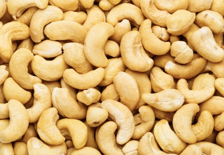 Fresh cashew nutsの写真素材