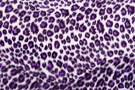 Leopard Printed in purpleの写真素材