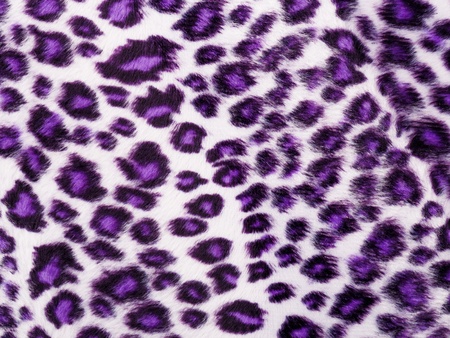 Leopard Printed in purpleの写真素材