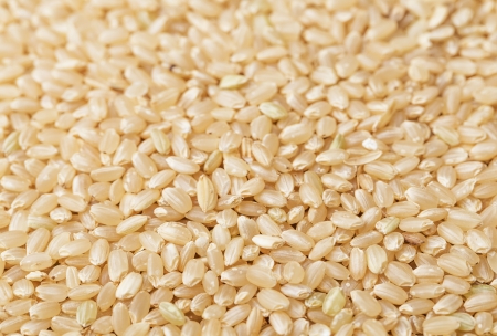 Brown rice backgroundの写真素材