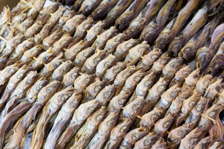 Dry salty fishの写真素材