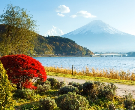 Mountain Fuji in autumnの写真素材