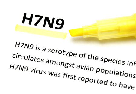 H7N9の写真素材