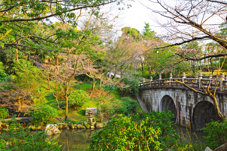 Japanese garden with bridge