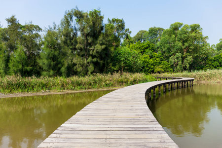 Bridge with lake and plantsの写真素材