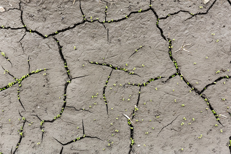 Cracks on the ground