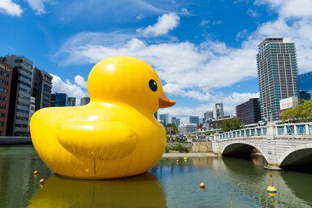 Osaka Japan - September 19: Giant 'Rubber Duck' sculpture by artist Florentijn Hofman swims Harbour of Nakanoshima park on September 19 2015. Local residents and tourists are drawn to the attraction.のeditorial素材