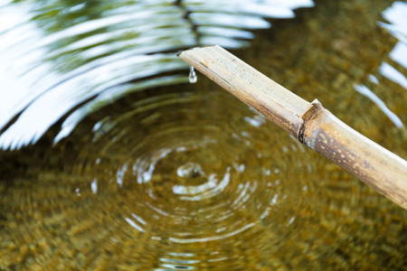 Purification fountain at a shrine with a bamboo pipeの写真素材
