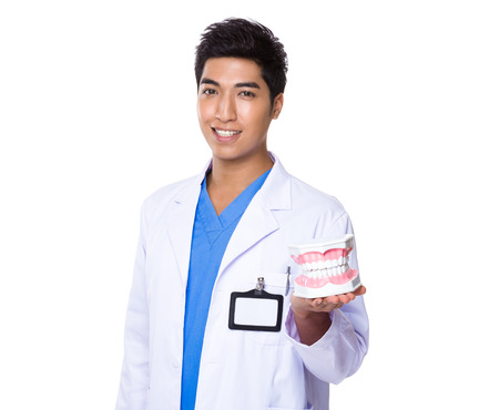 Asian Dentist holding with dentureの写真素材