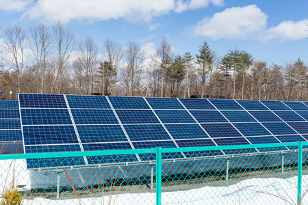 Solar panel in forest