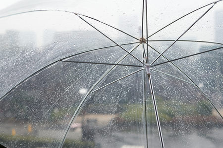 Wet transparent umbrella on naturalの写真素材