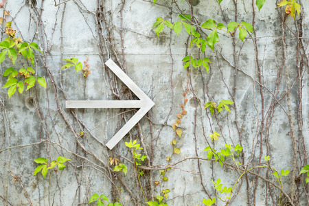 Arrow over creeper wallの写真素材