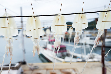 Hanging dried squid along seasideの写真素材