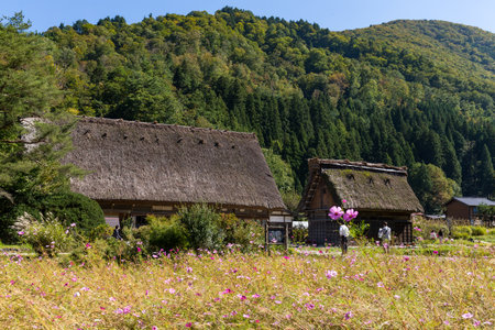 Traditional Japanese old wooden house in Shirakawaのeditorial素材
