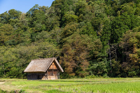 Old house in Shirakawagoのeditorial素材