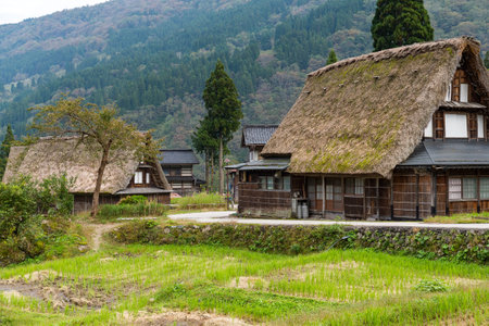 Traditional Japanese old villageのeditorial素材