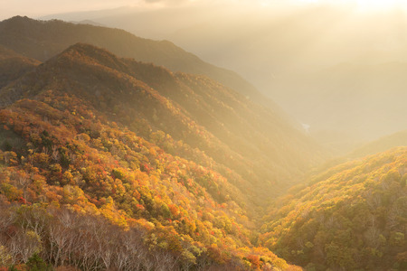 Beautiful sunset landscapeの写真素材