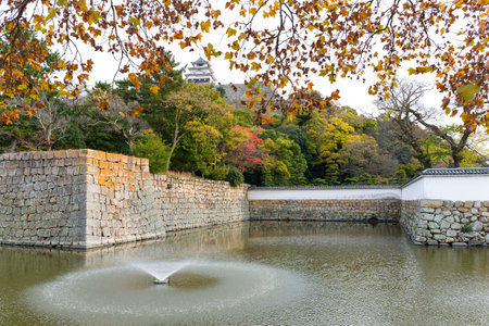 Autumn Marugame Castleのeditorial素材