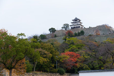 Marugame Castle in Japan at autumnのeditorial素材