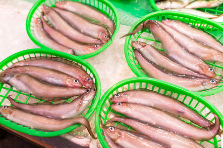 Fresh fish in basket