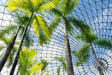 Greenhouse gardenの写真素材