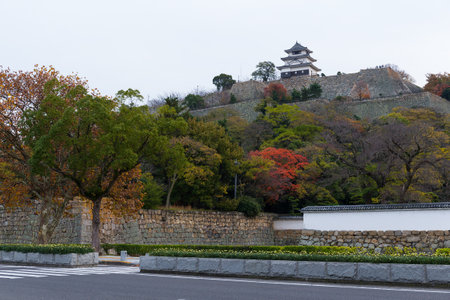 Marugame Castle at autumnのeditorial素材