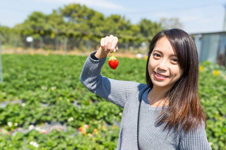 Young Woman holding strawberry in the gardenの写真素材