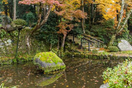 Beautiful Japanese gardenの写真素材
