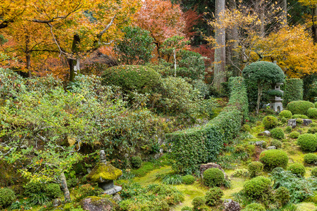 Autumn landscape in Japanese gardenの写真素材