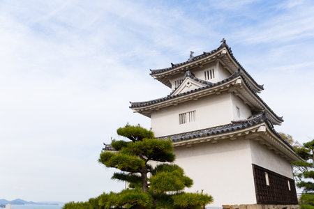 Marugame Castle in Japanのeditorial素材