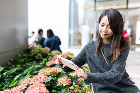Woman taking photo on flowerの写真素材